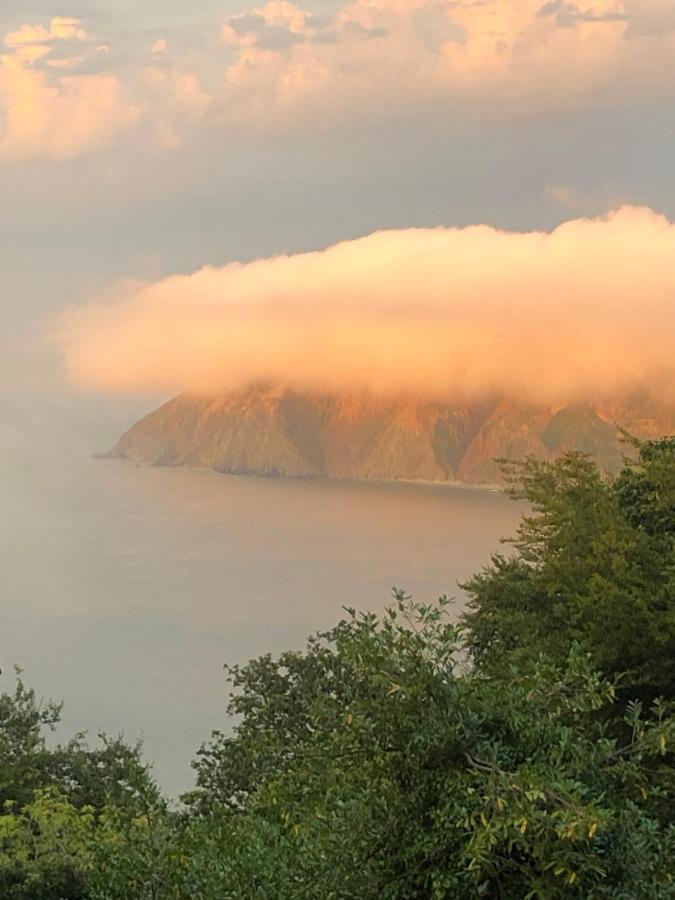 Seawood House Boutique Hotel Lynton Esterno foto